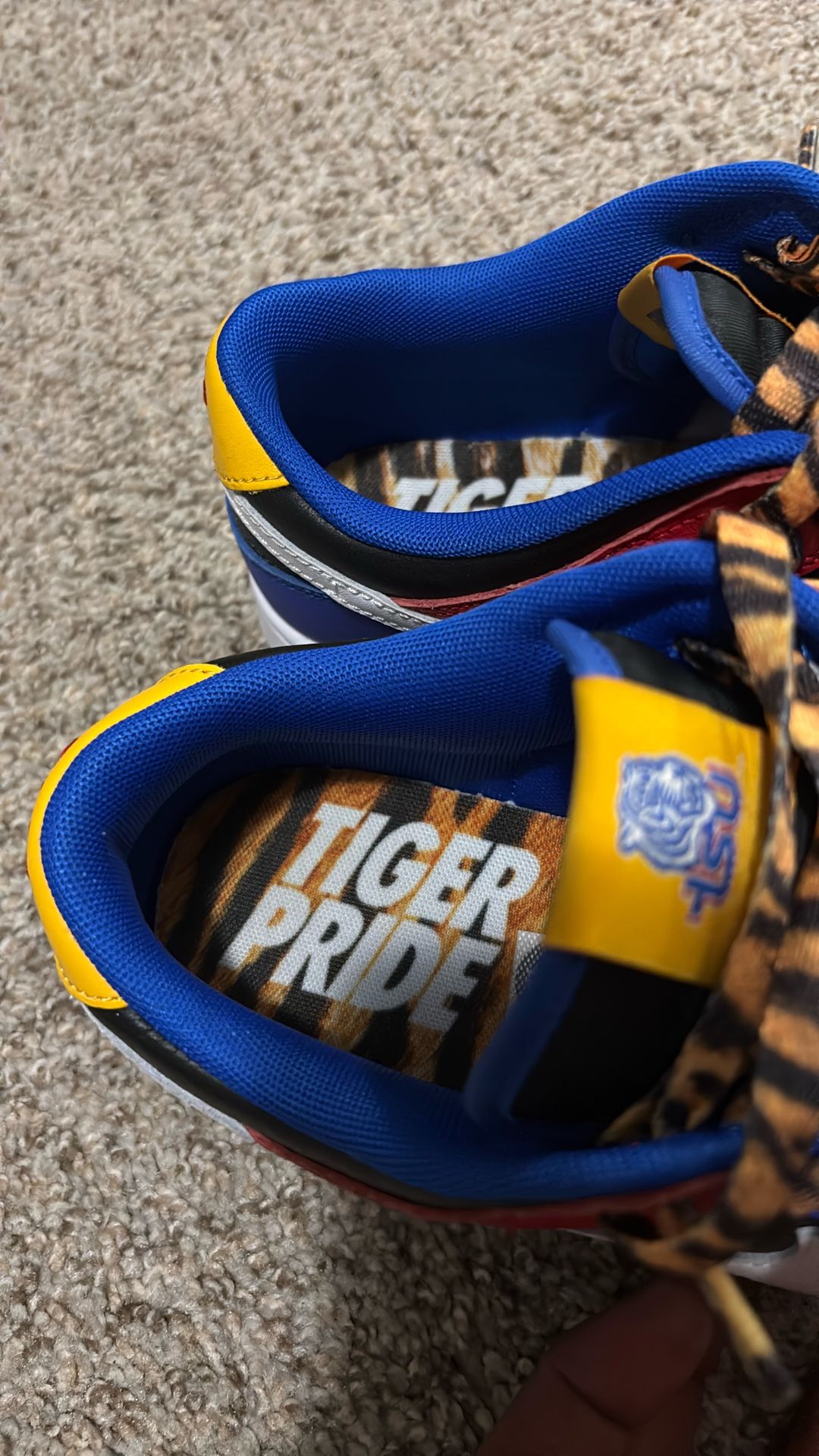 TSU DUNKS - Main Image