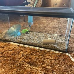 Glass Rodent Cage