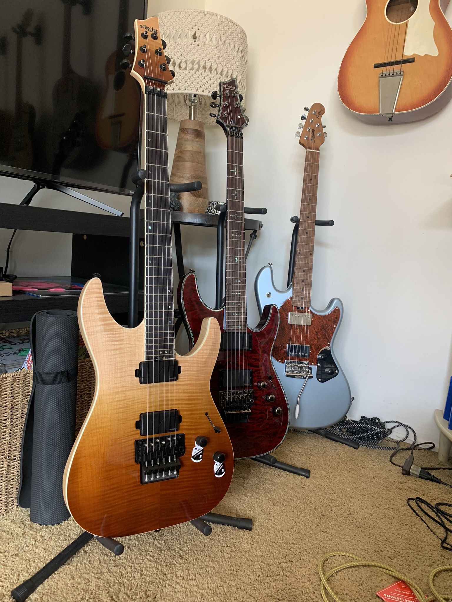 Schecter Sls Elite & PRS Swamp Ash Special