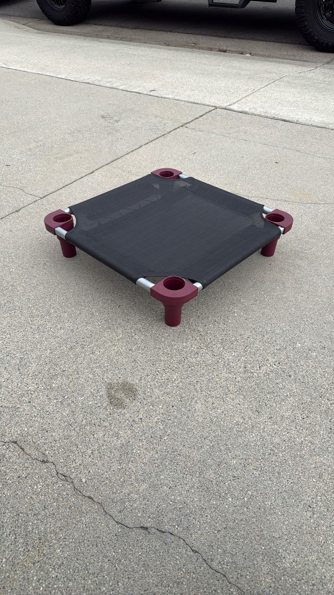 Elevated Dog Training Cot / Place Bed – $30