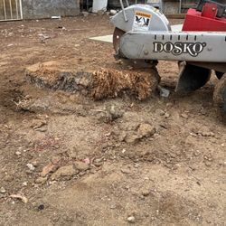 Stump Grinding 