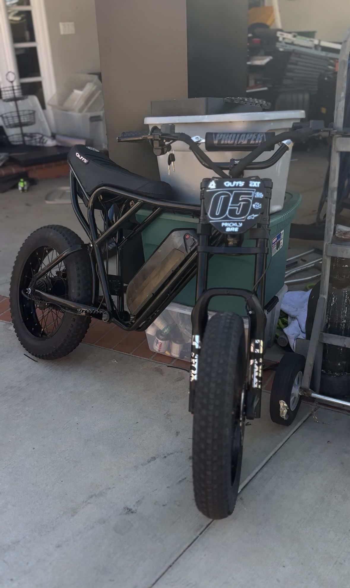 Ridstar Q20 1500watts