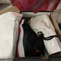 Jordan 11 Bred