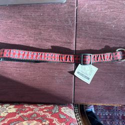 Eddie Bauer NWT Black And Red Quick Release Adjustable Collar