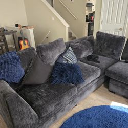Gently Used Navy Blue Sofas
