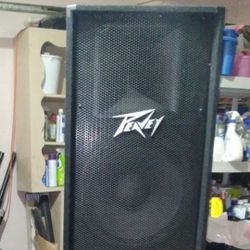 Peavey Speaker 15 Inch In Great Condition