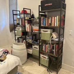 Bookcase and Bookshelves