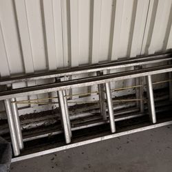 12’ and 8’  extend ladders