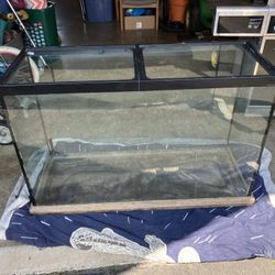 100+ Gallon Terrarium
