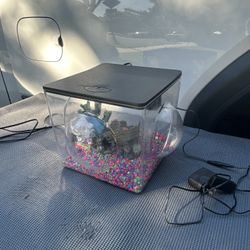 Fish Tank 3 Gallon 