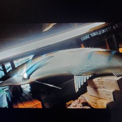 Fish On!/ Man Made /Marlin/ Synthetic Materials
