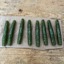 2.75” Midwest Finesse Baits 