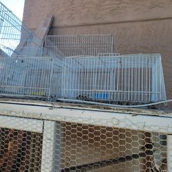 Small Bird. Cage 