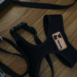 Small Puppy Harness With leash