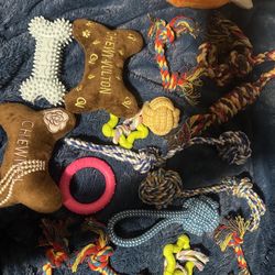 dog toys ! 