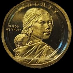 2010 Sacagawea Native Coin ,a Great Coin New !