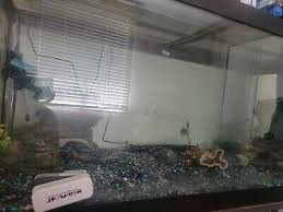 Giant 70gallon Fish Tank