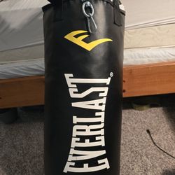 Everlast Punching Bag And Stand