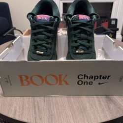 Nike Book Chapter One