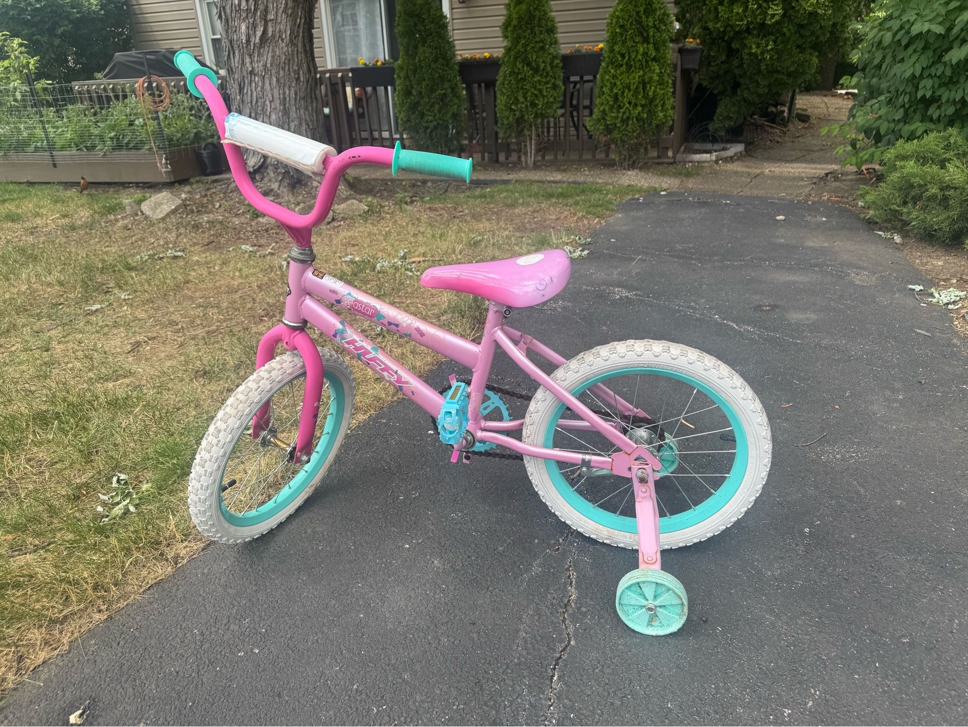 Girl’s Bike (Kids toddler w/Training Wheels)