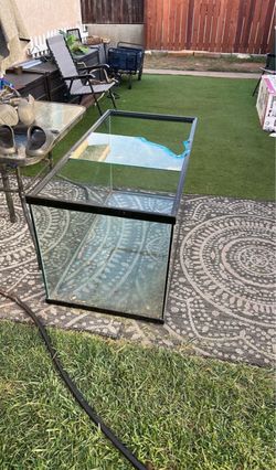 Free aquarium tank