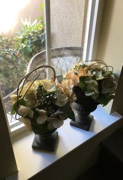 Floral plant