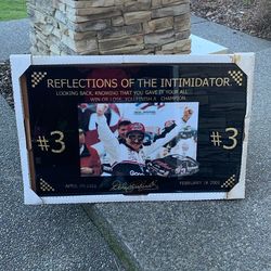 Racer Dale Earnhardt Picture