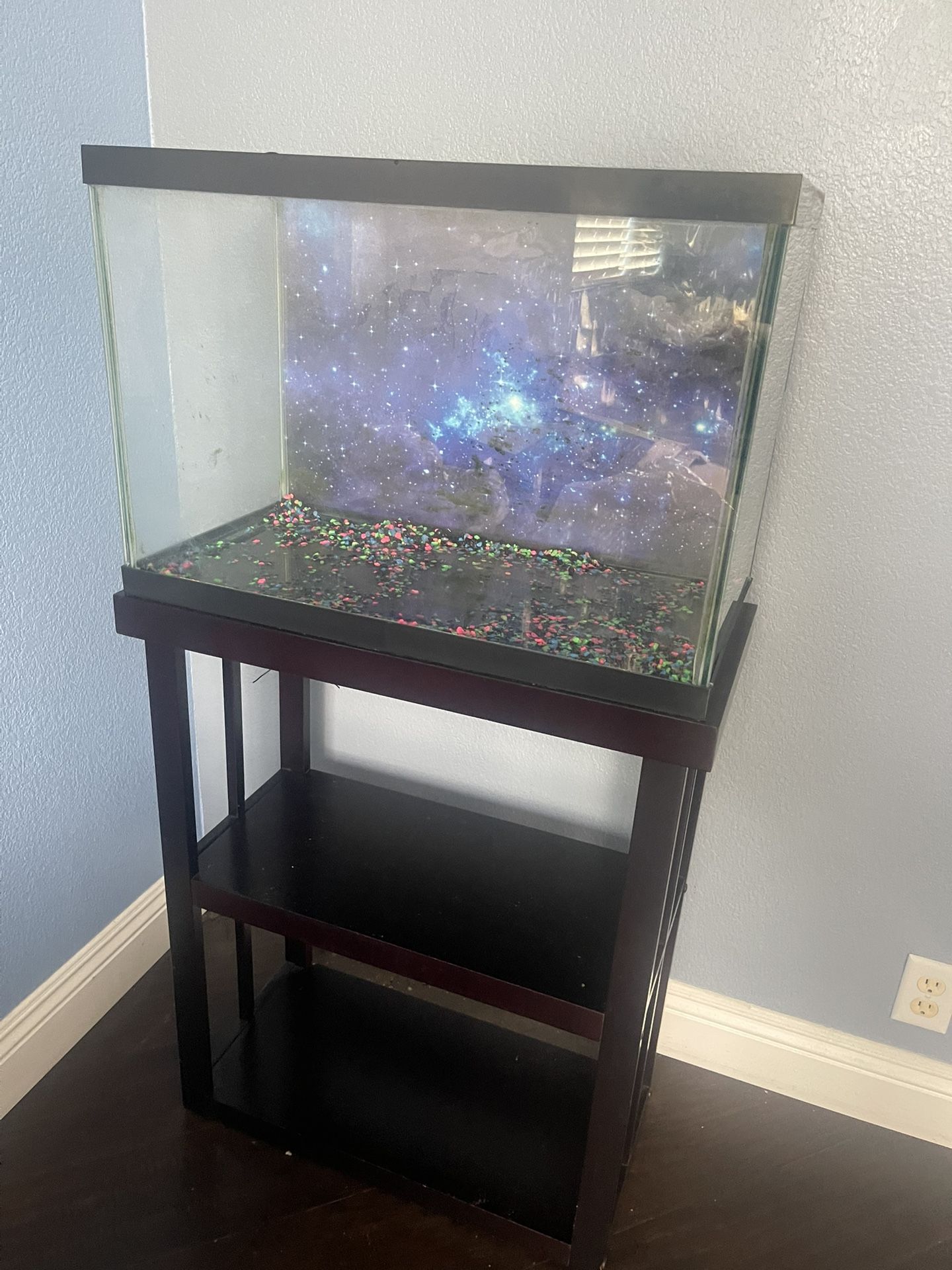 20 Gallon Fish Tank And Stand