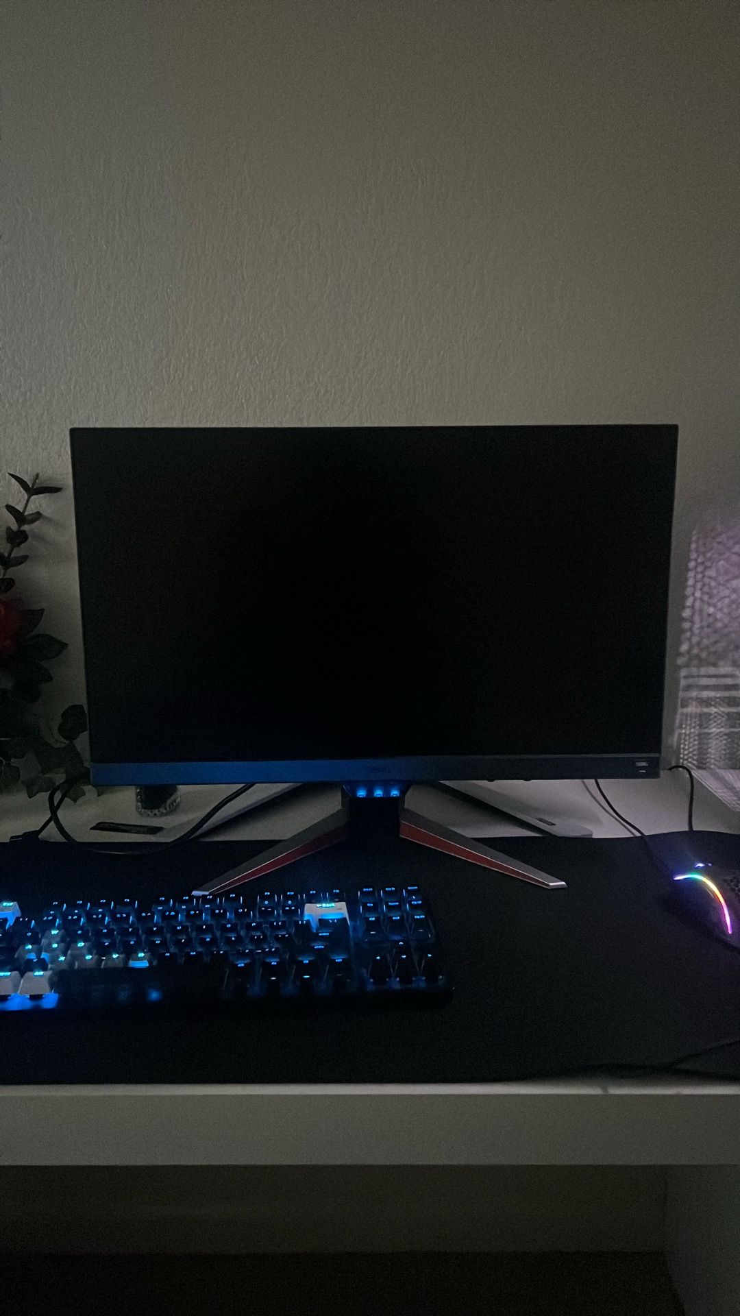 165 Hz Gaming Monitor (read description)