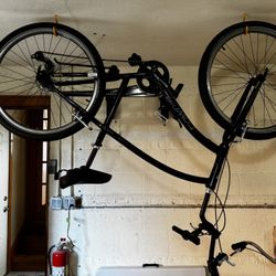 Bikes - 2 Refurbished Barely Used Townie Electra Bikes - Green & Black