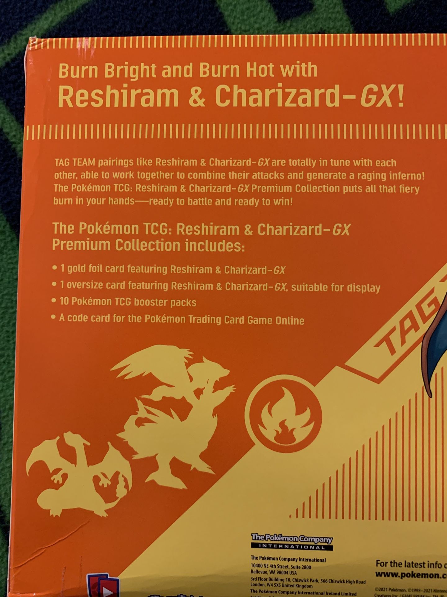  Pokémon TCG: Reshiram & Charizard GX Premium Collection : Toys  & Games