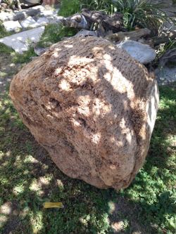 Large genuine Driftwood For Aquariums Terrariums Decor