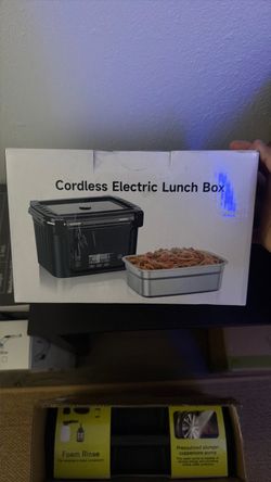 Electric lunch box