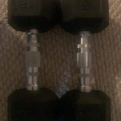 15lb Dumbbells