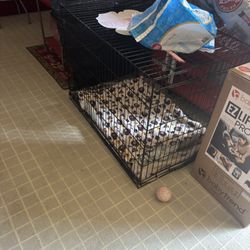Large Dog Crate 