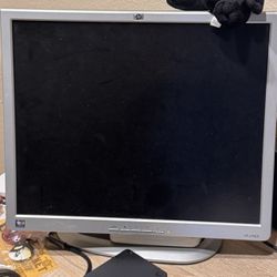 19” HP computer monitor