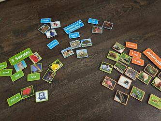 Lakeshore Science Sorting Center Magnets