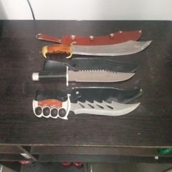 Collectors Knifes 
