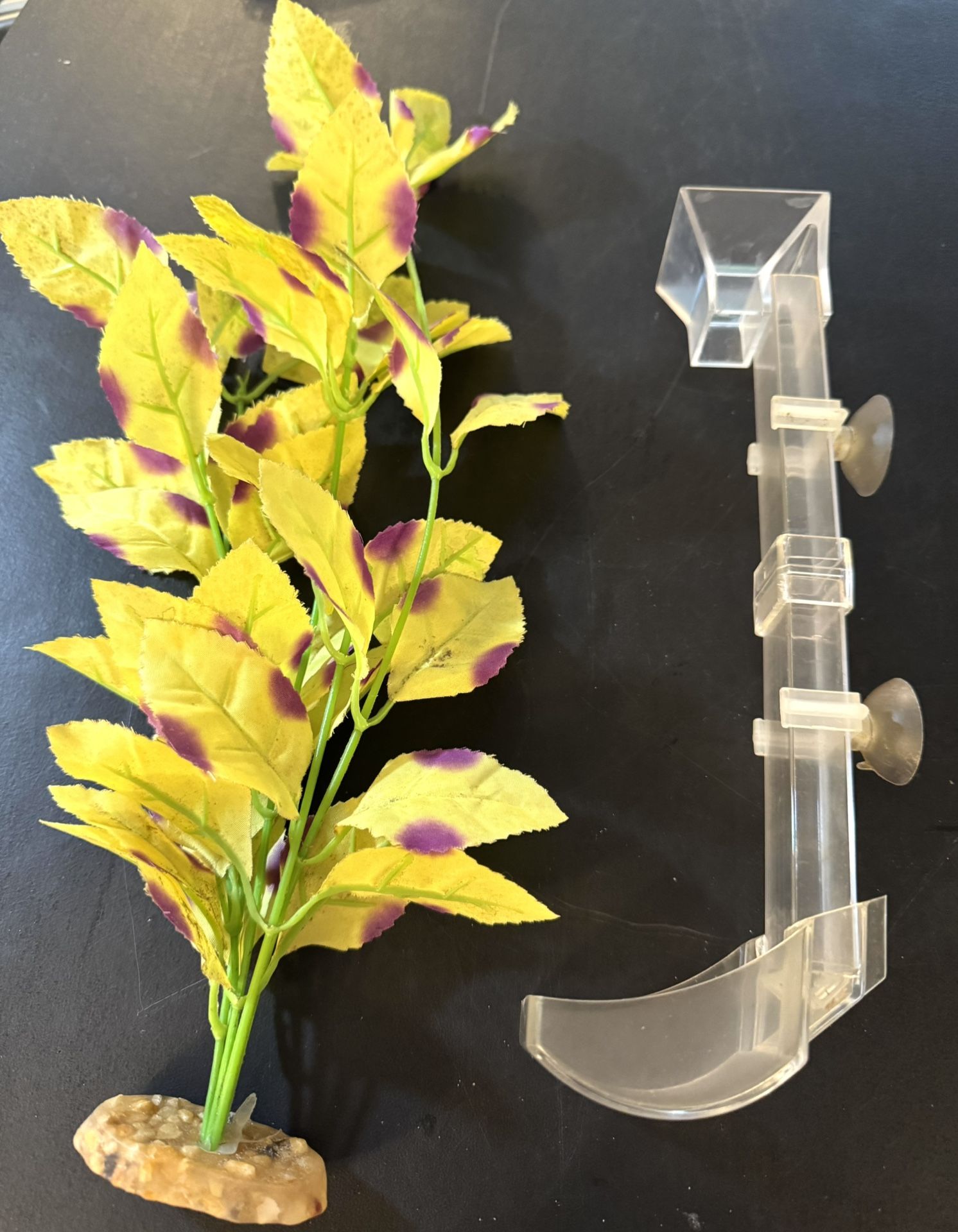 AQUARIUM FISH FEEDING TUBE & BONUS PLANT - SHIPPING  INCLUDED-