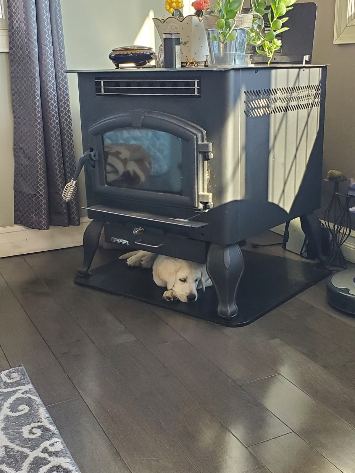 US Stove Pellet Stove, 2,200 Sq. Ft. Multifuel Stove On Legs, 6041HF for  Sale in Utica, NY - OfferUp