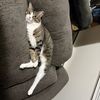 Amy