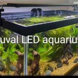 Fluval Aquarium Led App Control