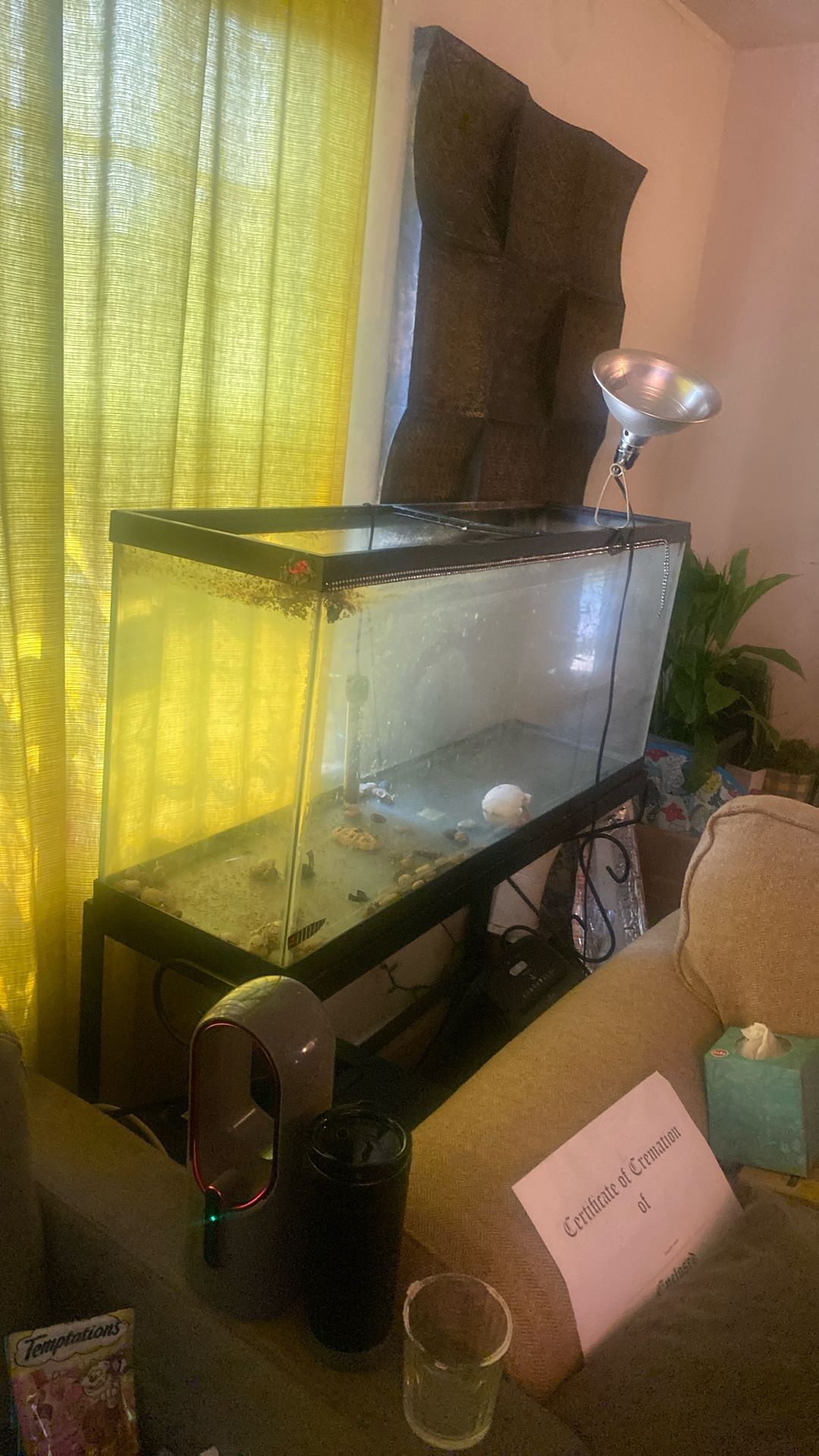 55 gallon tank, stand and light $100