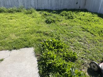 Jardinero 