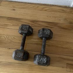 20lb Dumbells 