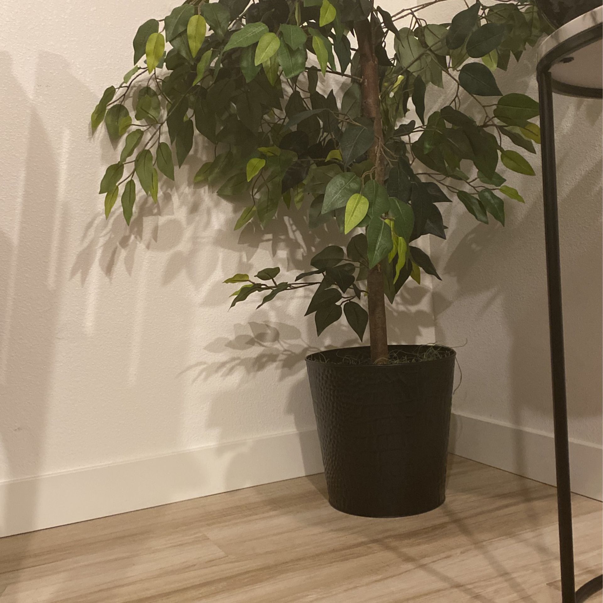 Large Fake Plant (real looking)