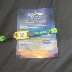 VIP 2-Day Day Trip Festival
