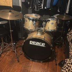 Peace Prodigy Series drum kit (Model No.: DP-109CH-18#29)