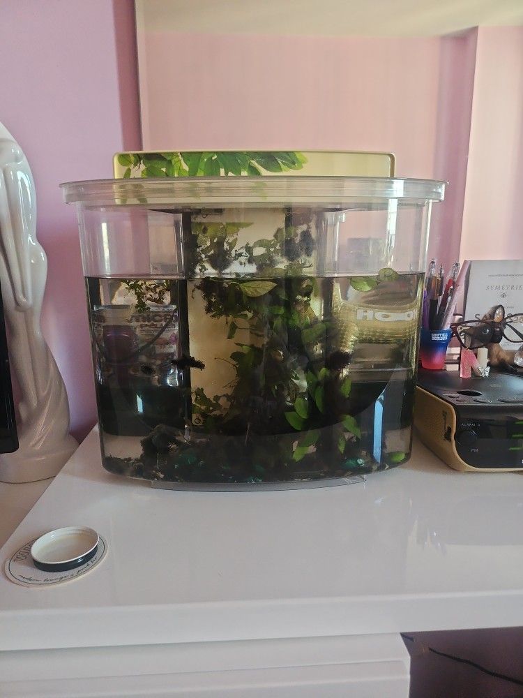 FISH TANK / FISHTANK / AQUARIUM