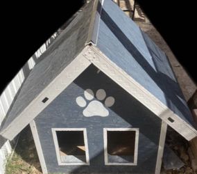 Dog House 